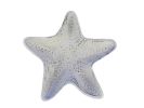 Whitewashed Cast Iron Starfish Decorative Bowl 8""