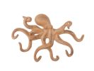 Rustic Orange Cast Iron Octopus Hook 11""