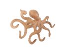 Rustic Orange Cast Iron Octopus Hook 11""