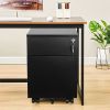 2 Drawer Mobile File Cabinet with Lock Metal Filing Cabinet for Legal/Letter/A4/F4 Size; Fully Assembled Include Wheels; Home/Office Design; BLACK