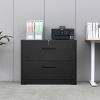 2 Drawer Lateral Filing Cabinet for Legal/Letter A4 Size; Large Deep Drawers Locked by Keys; Locking Wide File Cabinet for Home Office; Metal Steel