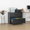 2 Drawer Lateral Filing Cabinet for Legal/Letter A4 Size; Large Deep Drawers Locked by Keys; Locking Wide File Cabinet for Home Office; Metal Steel