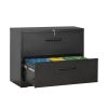 2 Drawer Lateral Filing Cabinet for Legal/Letter A4 Size; Large Deep Drawers Locked by Keys; Locking Wide File Cabinet for Home Office; Metal Steel