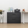 2 Drawer Lateral Filing Cabinet for Legal/Letter A4 Size; Large Deep Drawers Locked by Keys; Locking Wide File Cabinet for Home Office; Metal Steel