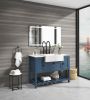 Solid Wood Bathroom Vanities Without Tops 48 in. W x 20 in. D x 33.60 in. H Bath Vanity in blue