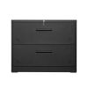2 Drawer Lateral Filing Cabinet for Legal/Letter A4 Size; Large Deep Drawers Locked by Keys; Locking Wide File Cabinet for Home Office; Metal Steel