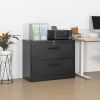 2 Drawer Lateral Filing Cabinet for Legal/Letter A4 Size; Large Deep Drawers Locked by Keys; Locking Wide File Cabinet for Home Office; Metal Steel