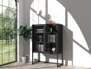 47.2 inches high Metal Storage Cabinet with 2 Mesh Doors; Suitable for Office; Dining Room and Living Room; Black