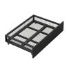 Metal Platform Bed with 2 Drawers;  Twin (Black)