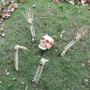 Realistic Skeleton Stakes Halloween Decorations for Garden
