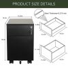 2 Drawer Mobile File Cabinet with Lock Metal Filing Cabinet for Legal/Letter/A4/F4 Size; Fully Assembled Include Wheels; Home/Office Design; BLACK