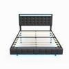 Queen Size Floating Bed Frame with LED Lights and USB Charging,Modern Upholstered Platform LED Bed Frame,Black