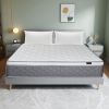 10IN King size Mattress