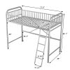 Twin Size Metal Loft Bed;  No Box Spring Needed