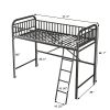 Twin Size Metal Loft Bed;  No Box Spring Needed