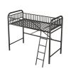 Twin Size Metal Loft Bed;  No Box Spring Needed